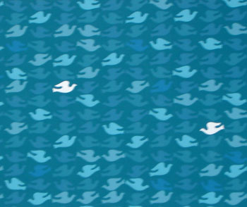 Click here for a larger image.